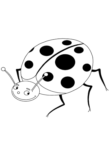 Cartoon Ladybug  Coloring Page